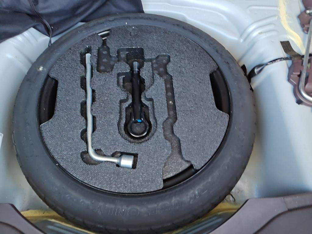 スペイドＦクイーンの写真 30