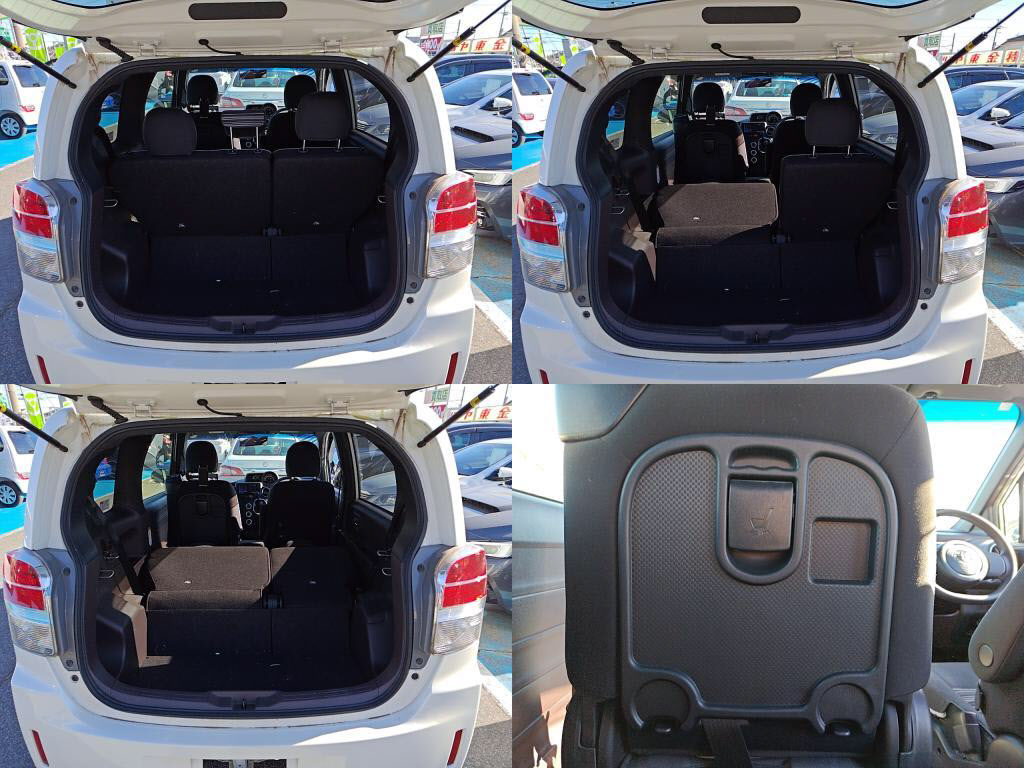 スペイドＦクイーンの写真 8