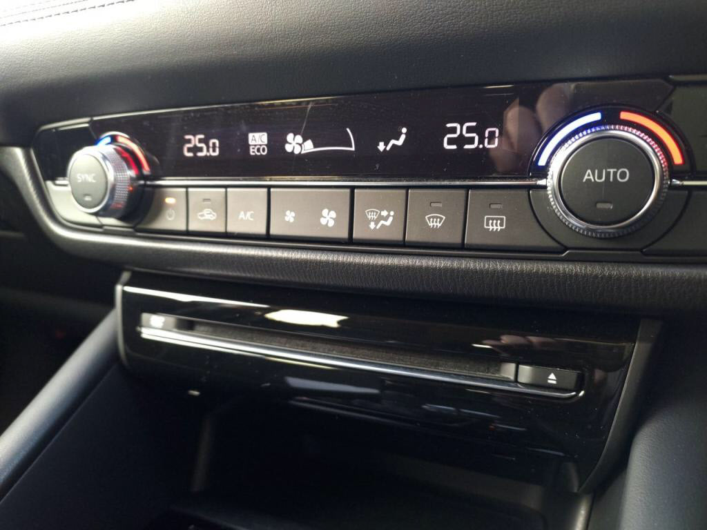 アテンザワゴン２０Ｓプロアクティブの写真 15