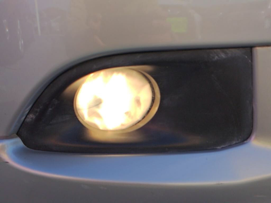 ブルーバードシルフィアクシスの写真 10