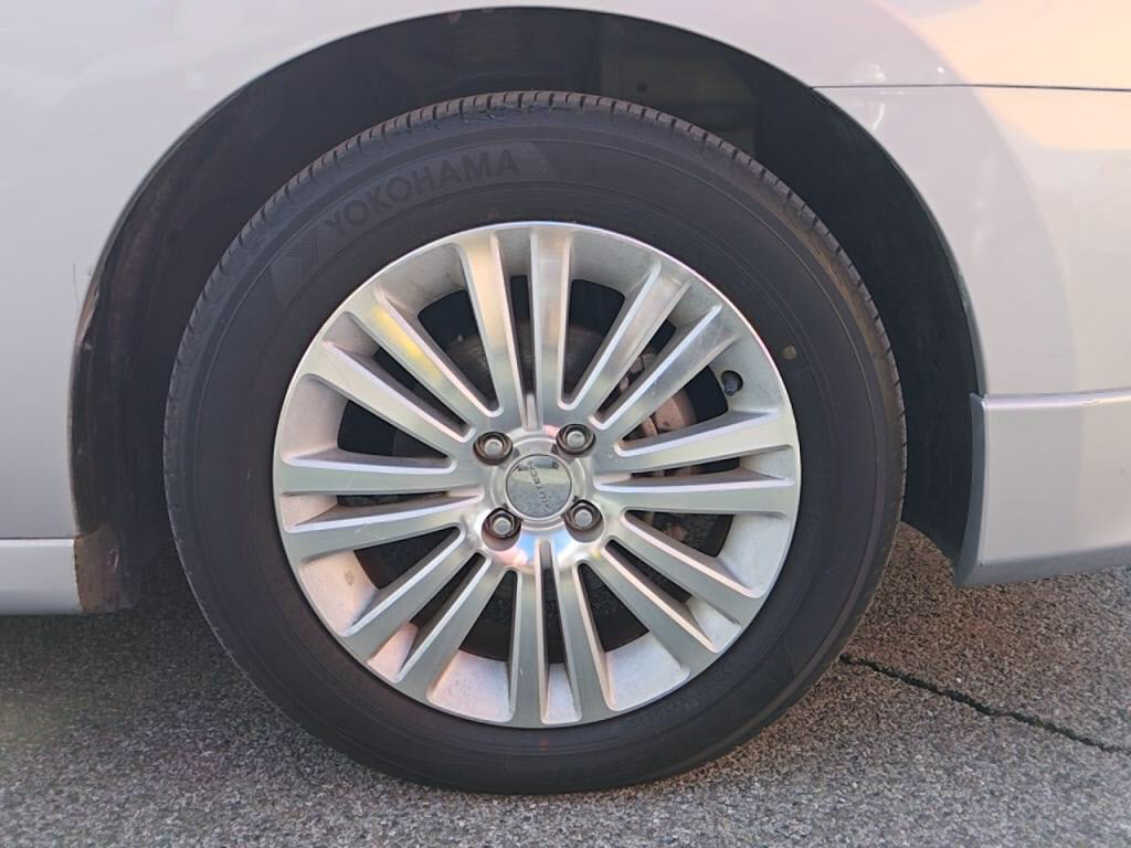 ブルーバードシルフィアクシスの写真 11