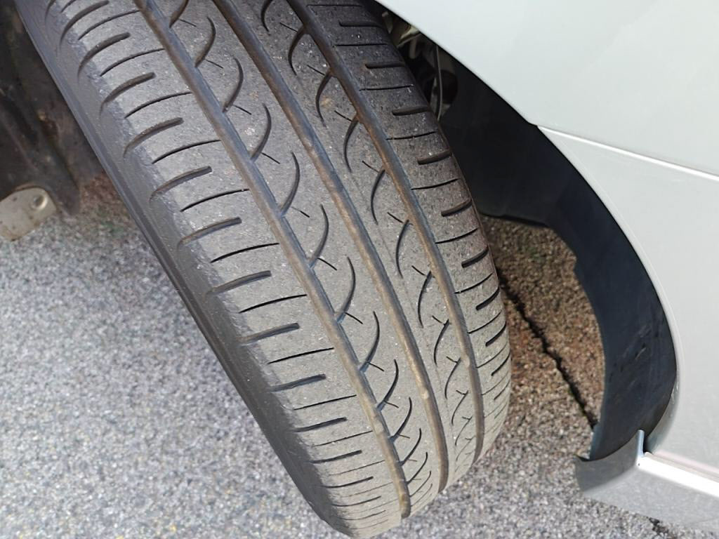 ブルーバードシルフィアクシスの写真 12