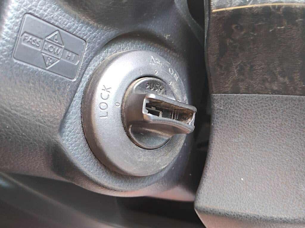 ブルーバードシルフィアクシスの写真 13