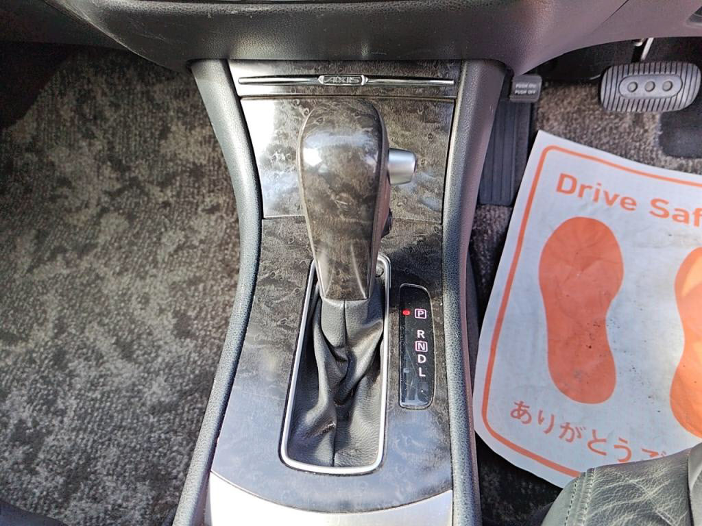 ブルーバードシルフィアクシスの写真 20