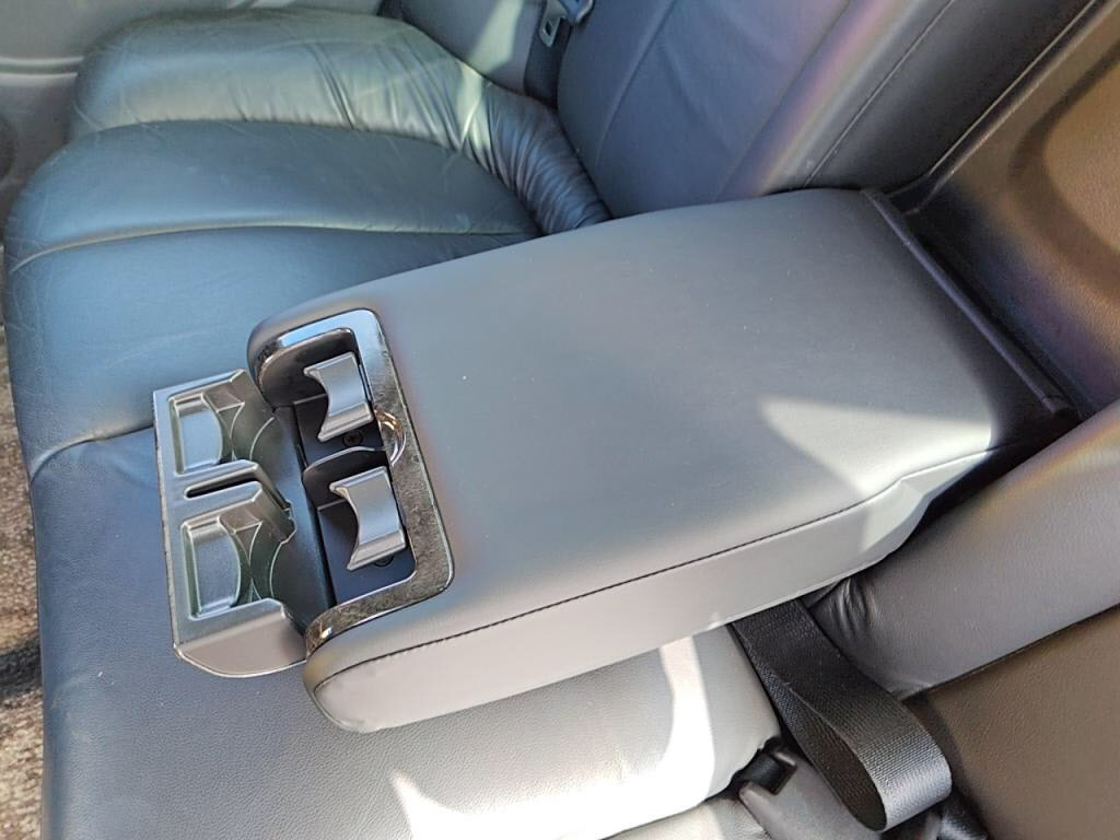 ブルーバードシルフィアクシスの写真 24