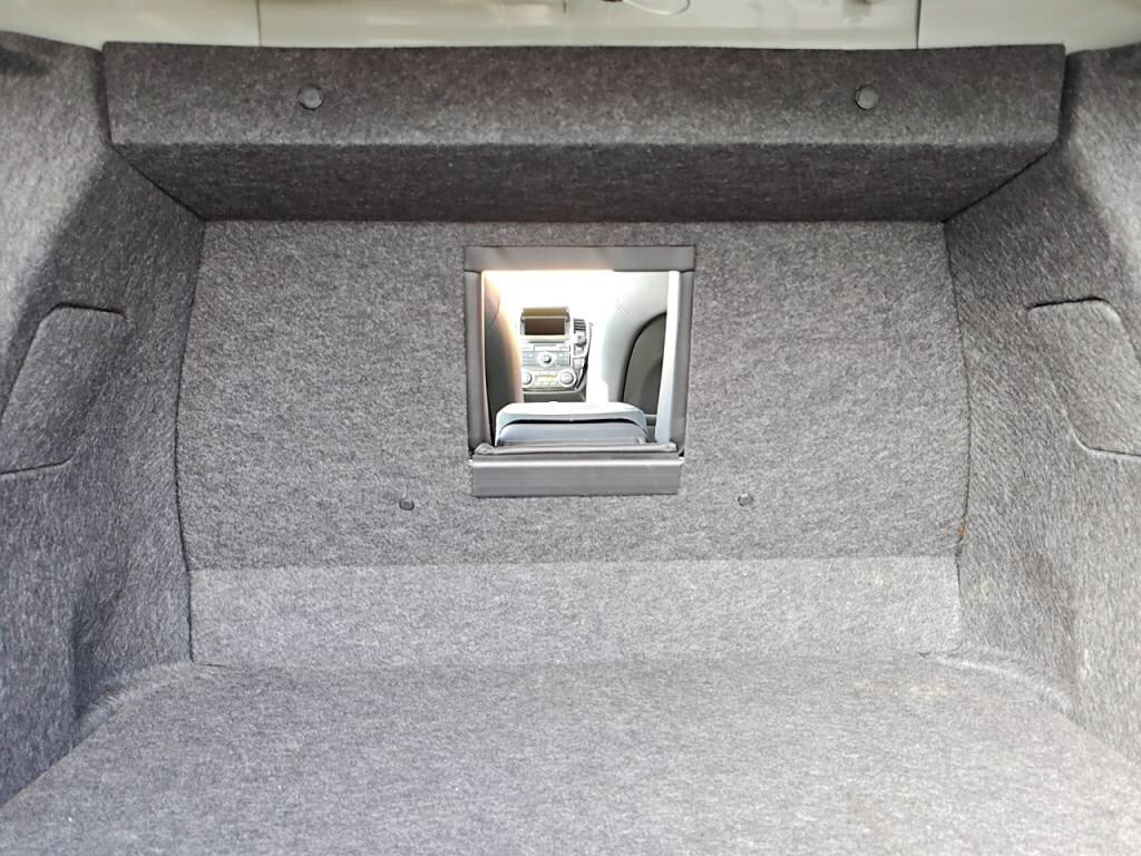 ブルーバードシルフィアクシスの写真 26