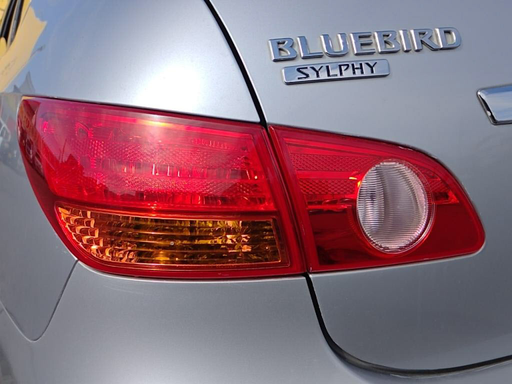 ブルーバードシルフィアクシスの写真 27