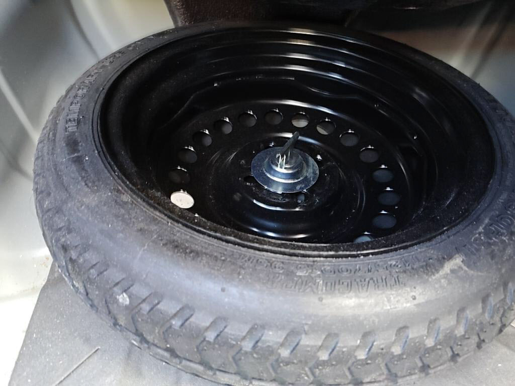 ブルーバードシルフィアクシスの写真 30