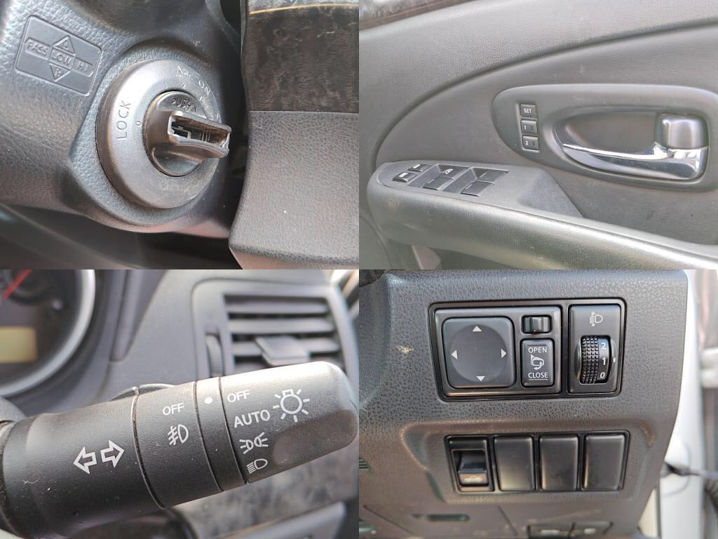 ブルーバードシルフィアクシスの写真 5