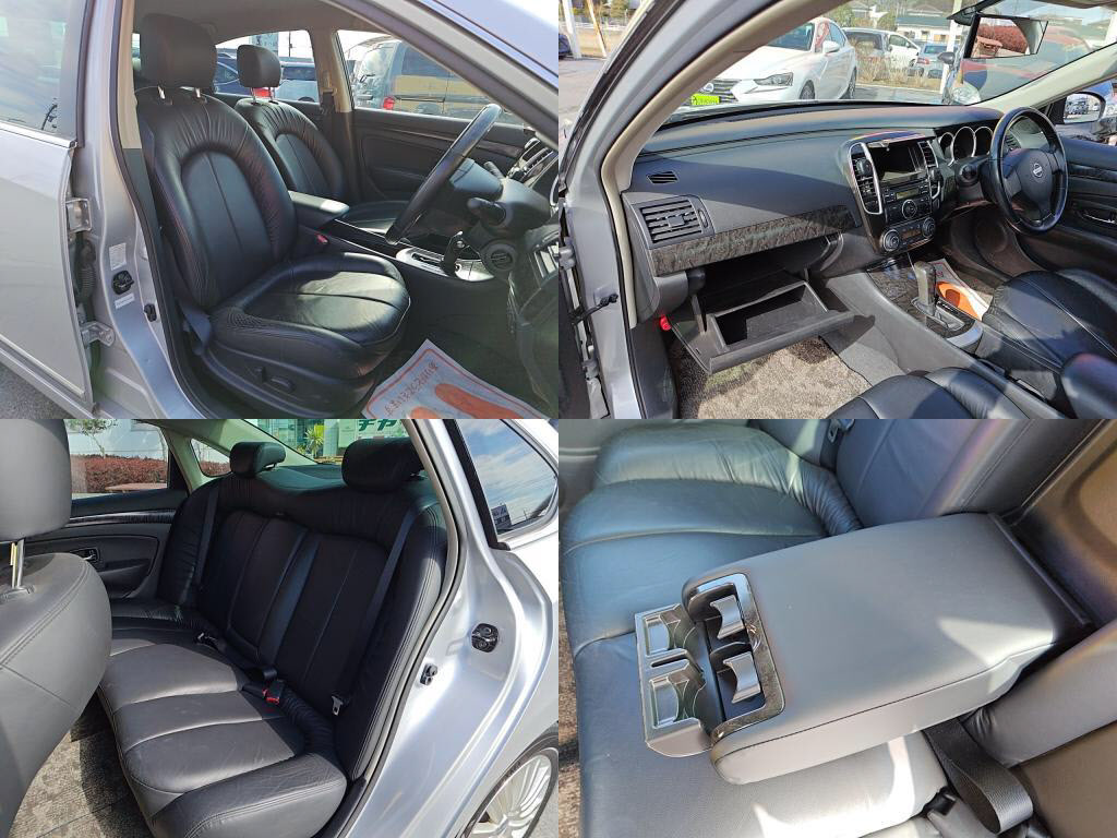 ブルーバードシルフィアクシスの写真 7