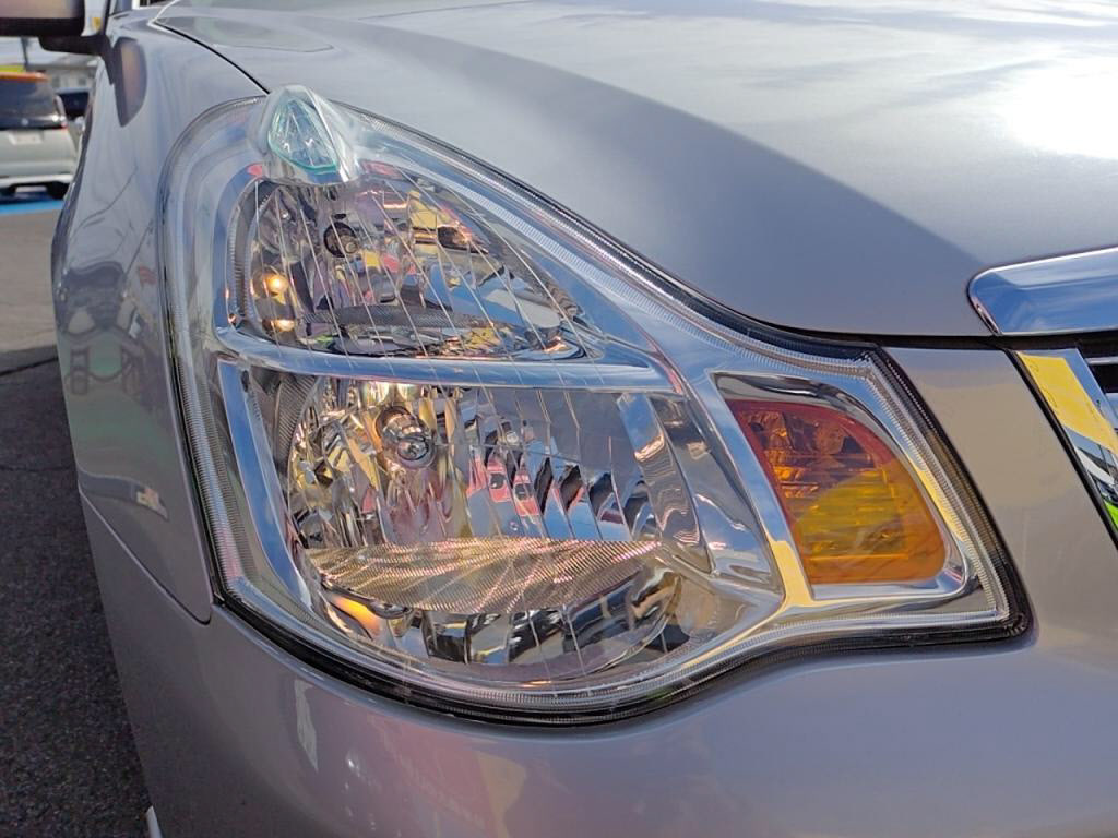 ブルーバードシルフィアクシスの写真 9