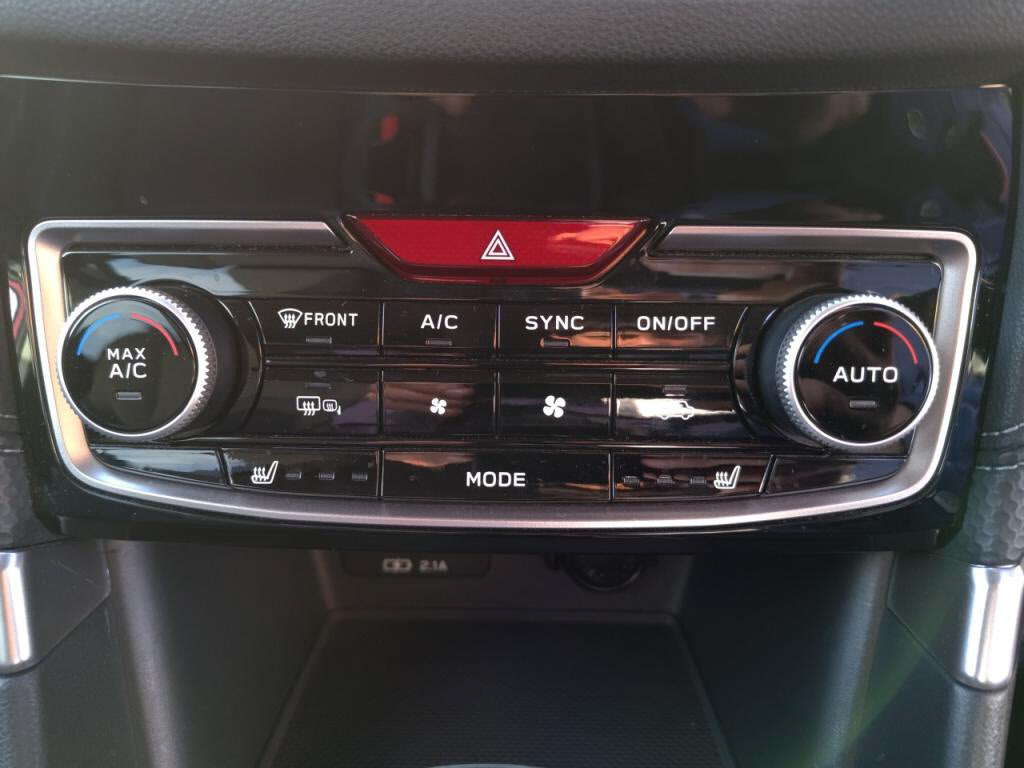 フォレスタープレミアムの写真 19