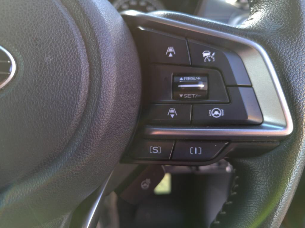 フォレスタープレミアムの写真 20