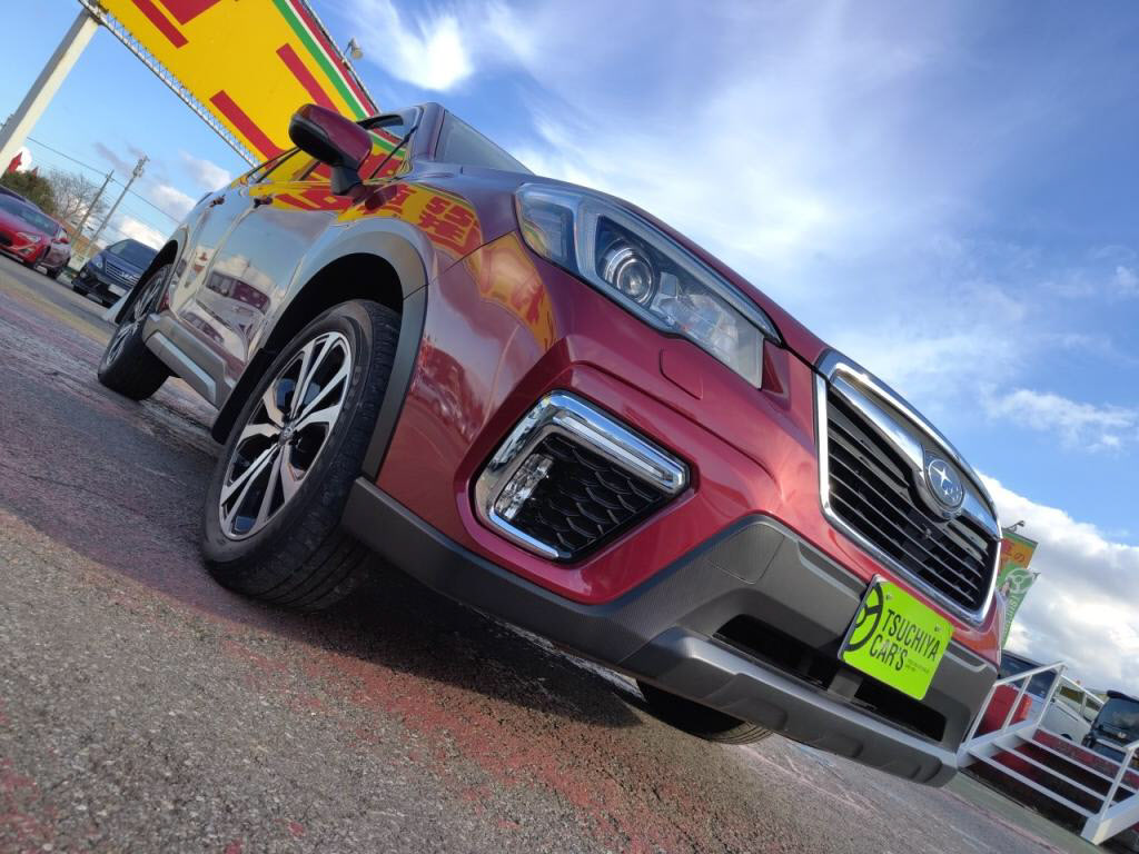 フォレスタープレミアムの写真 25