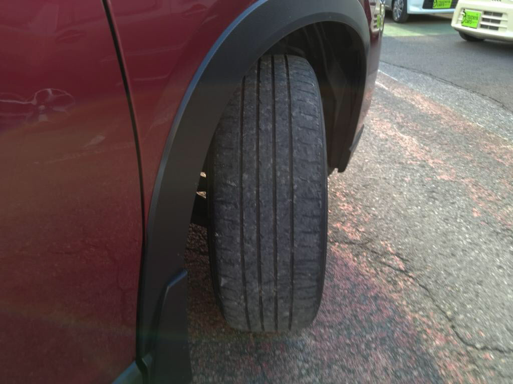 フォレスタープレミアムの写真 28