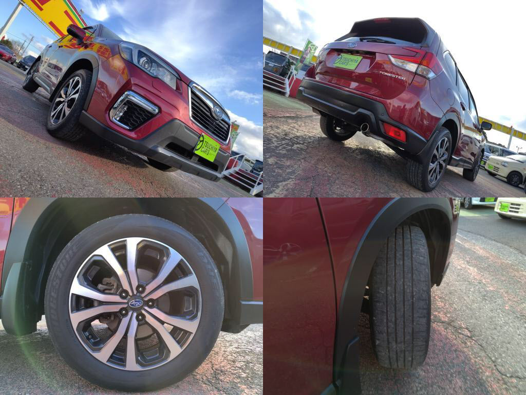 フォレスタープレミアムの写真 8